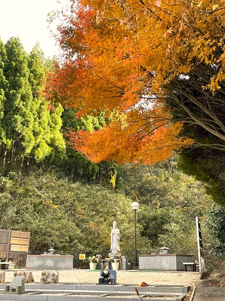 合同墓と紅葉